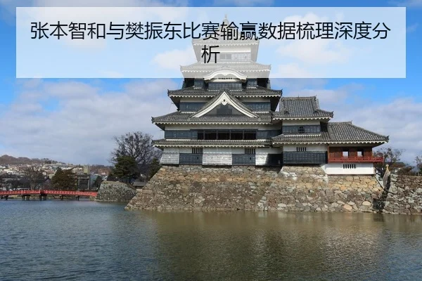 张本智和与樊振东比赛输赢数据梳理深度分析