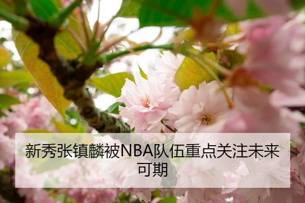 新秀张镇麟被NBA队伍重点关注未来可期