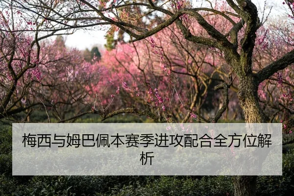 梅西与姆巴佩本赛季进攻配合全方位解析